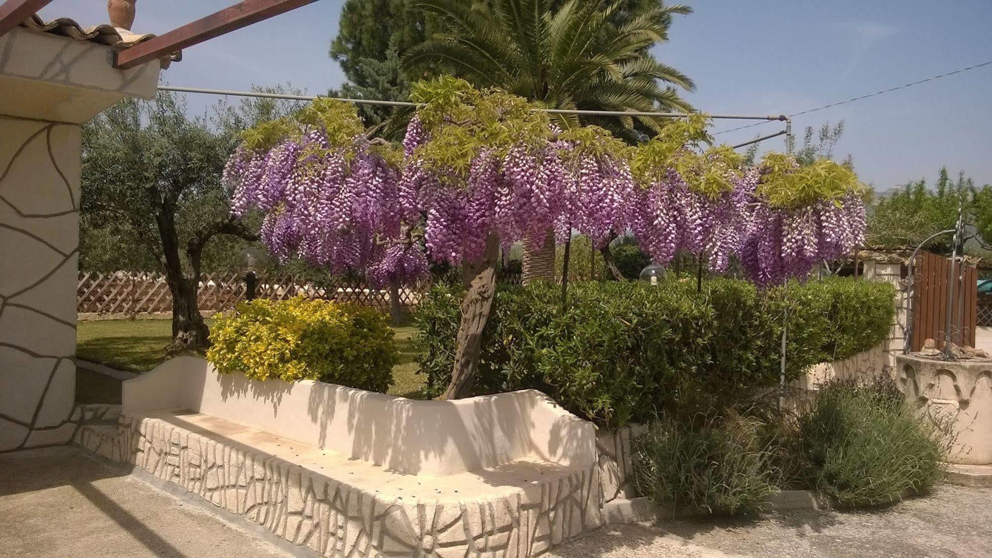 Le Zarafe Villa Ribera Kültér fotó